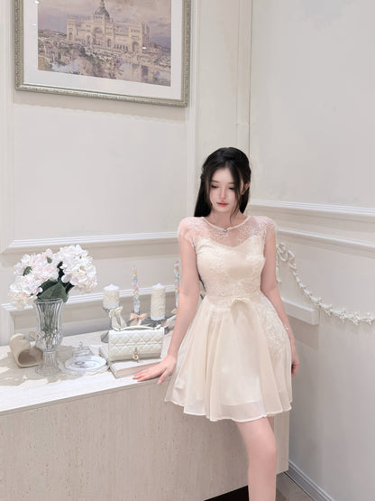 [Girlgod] Beaded Lace Mesh Overlay A-Line Dress (QF099)
